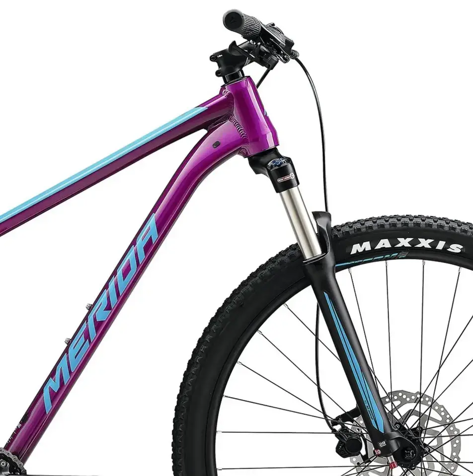 MTB - HARTAIL RENTAL (4)