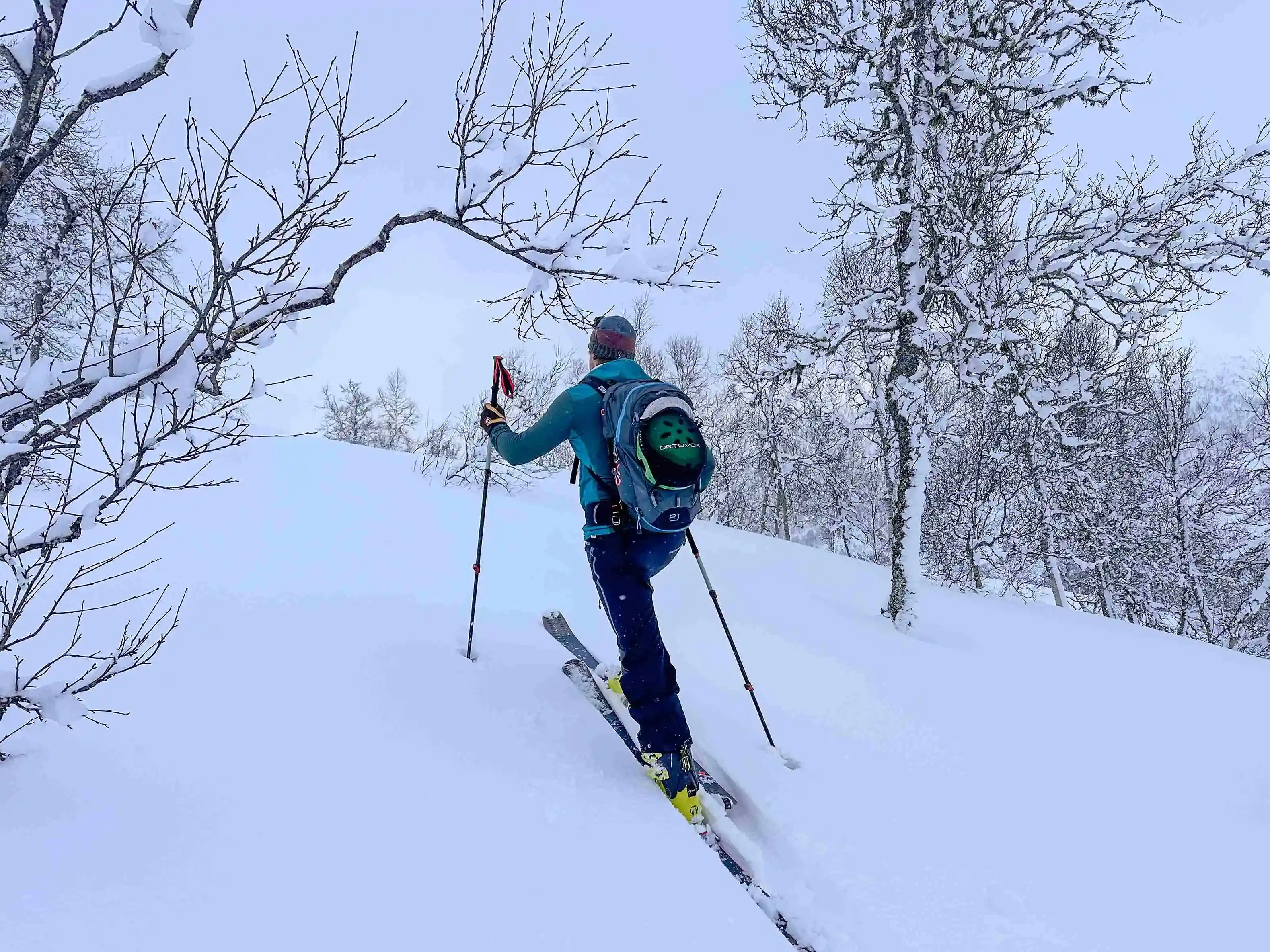 2024-7 DAY SKI IN FJORD NORWAY AND AURORA IN TROMSØ 16